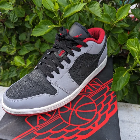 Nike Air Jordan 1s
